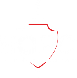 Логотип компании БОРС-БАЛТИКА
