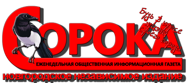 Логотип компании Новгородская Сорока