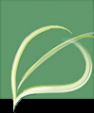 Логотип компании Партер